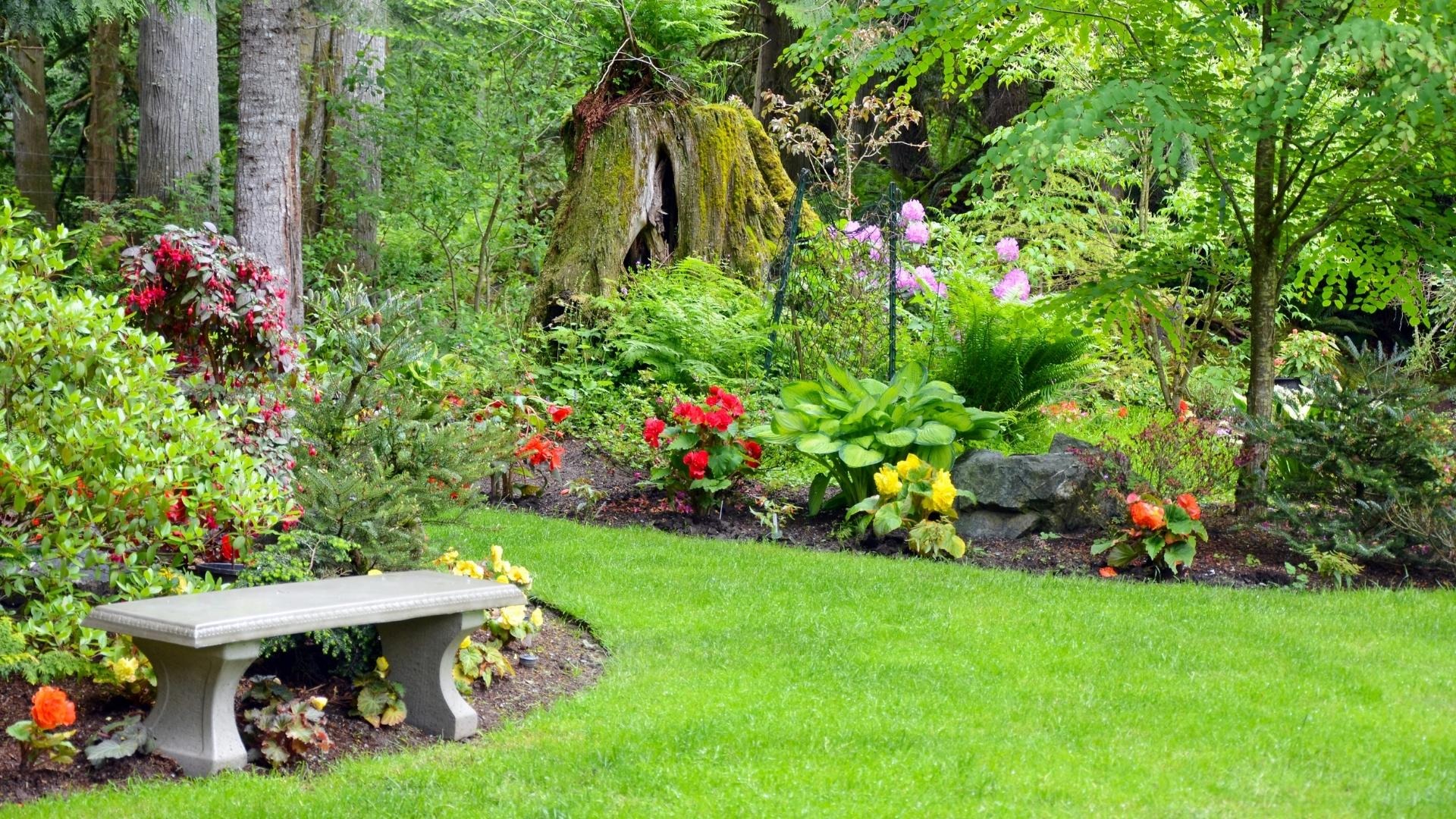 Jardin Exterior