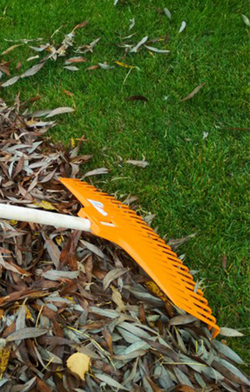 Limpieza de Jardin