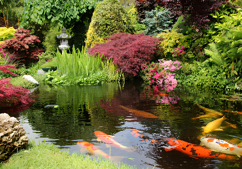 Jardin Exterior con Estanque