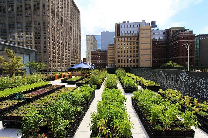 Jardin en Azotea