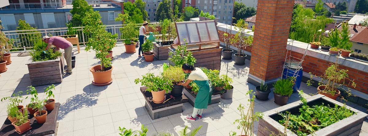 Jardin en Terraza con Macetas